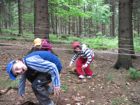 4PvP1B.1C.ctvr (122)